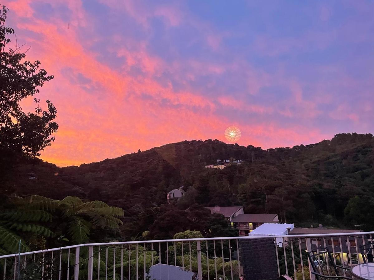 Absolute Bliss Apartments Paihia Dış mekan fotoğraf