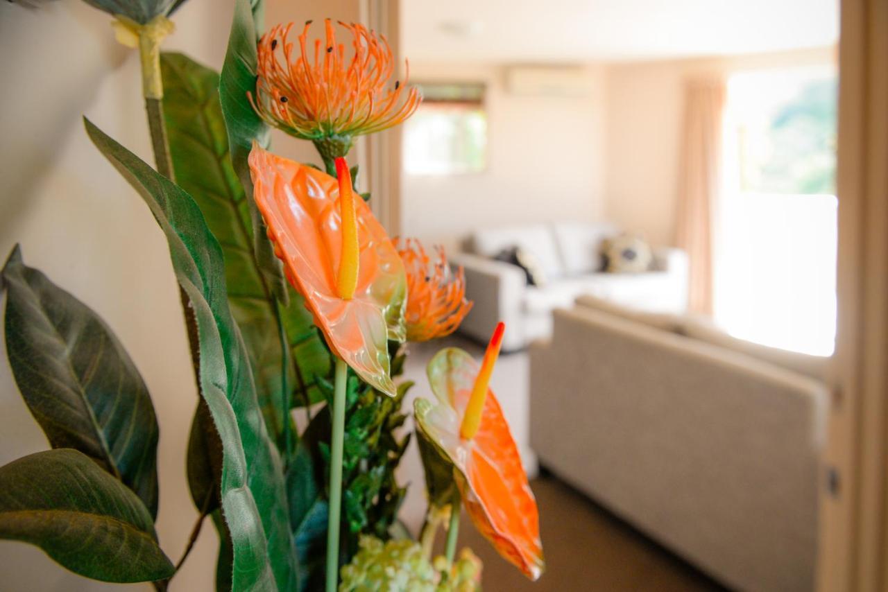 Absolute Bliss Apartments Paihia Dış mekan fotoğraf